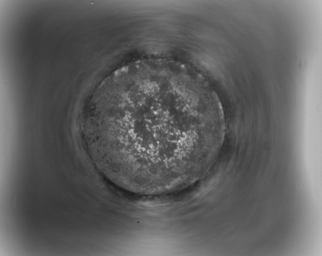 X0000088400817200706051134