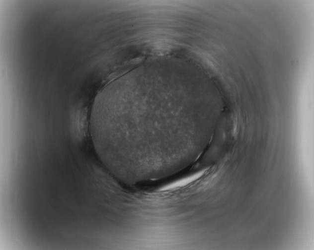 X0000088400818200706051134