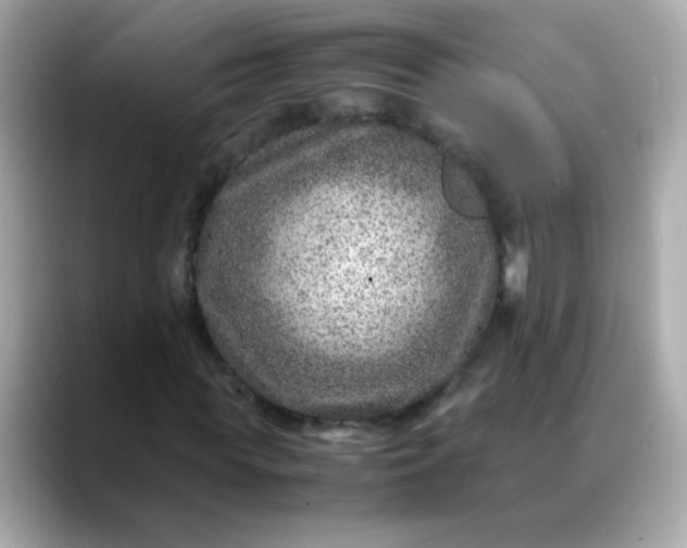 X0000088400819200706051134