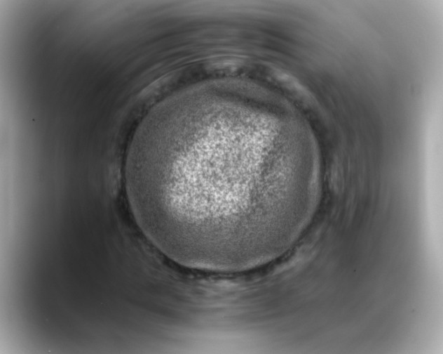 X0000088400821200706051134