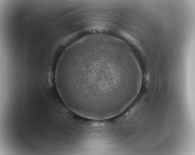 X0000088400822200706051134