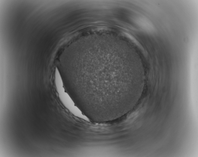 X0000088400823200706051134