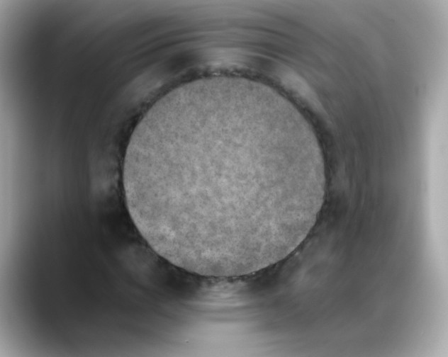 X0000088400824200706051134