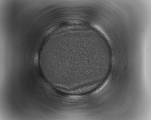 X0000088400825200706051134