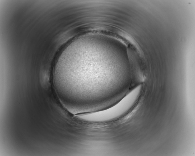 X0000088400826200706051134