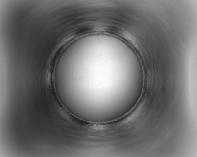 X0000088400827200706051134