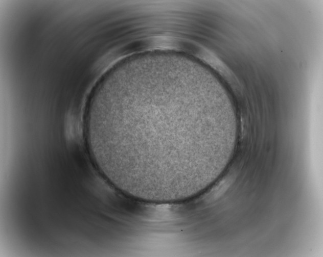 X0000088400828200706051134