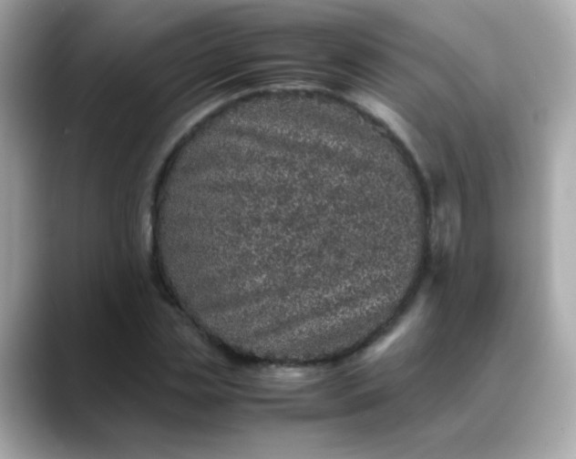 X0000088400829200706051134