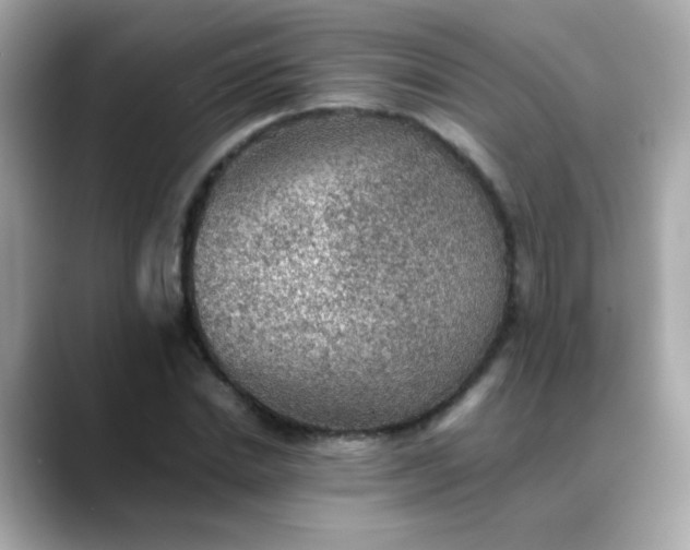 X0000088400830200706051134