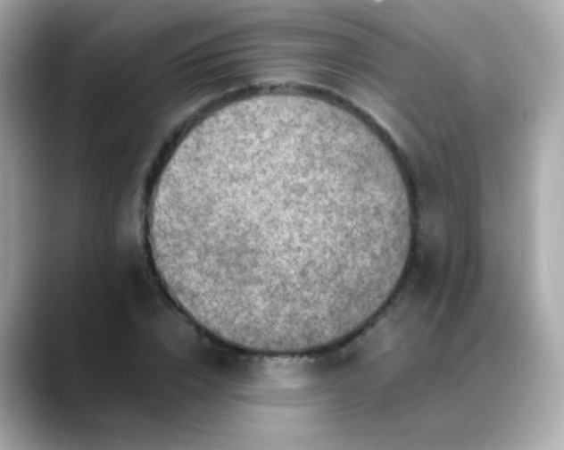 X0000088400832200706051134