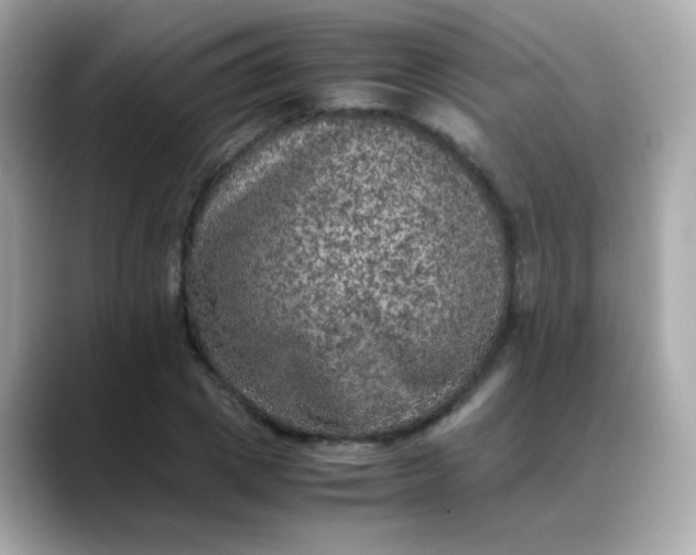 X0000088400833200706051134