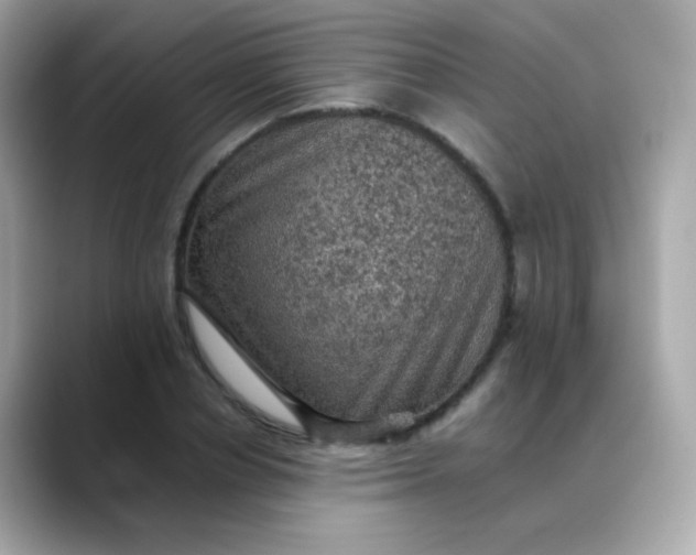 X0000088400834200706051134