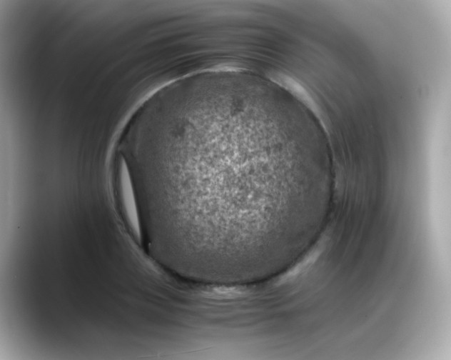 X0000088400835200706051134