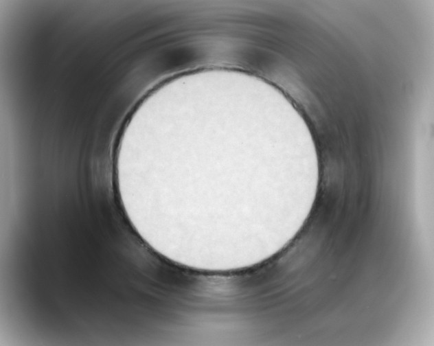 X0000088400836200706051134