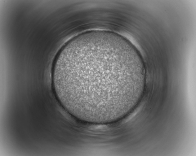 X0000088400837200706051134