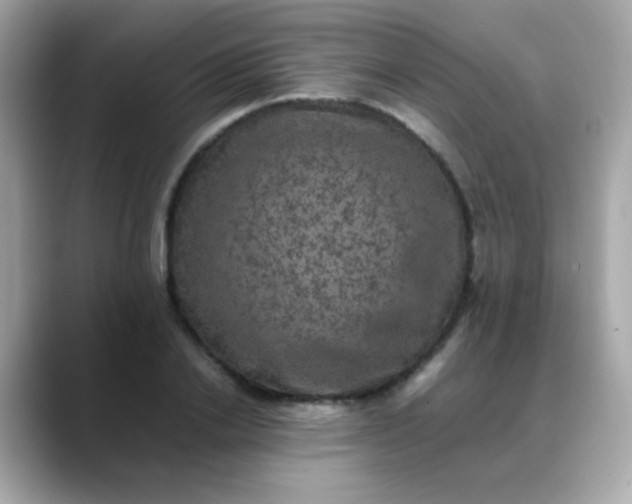 X0000088400838200706051134