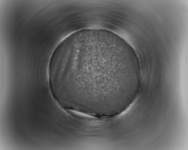 X0000088400839200706051134