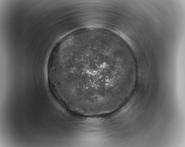 X0000088400840200706051134