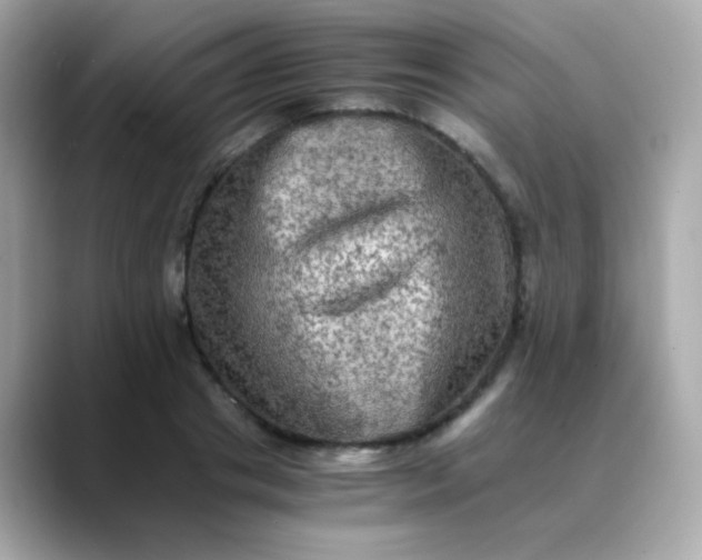 X0000088400841200706051134