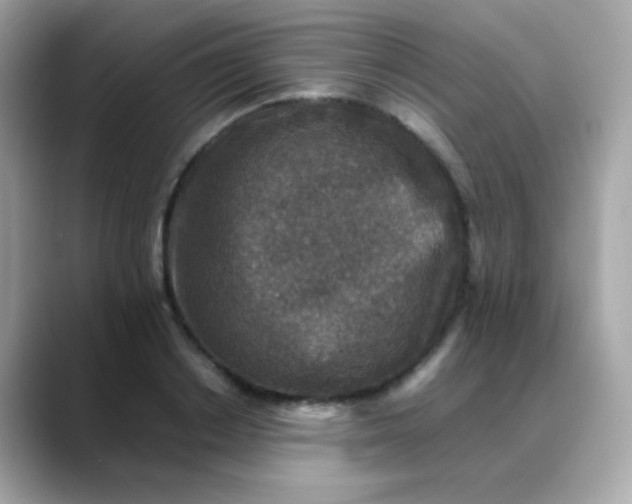 X0000088400842200706051134