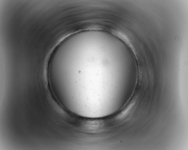 X0000088400843200706051134