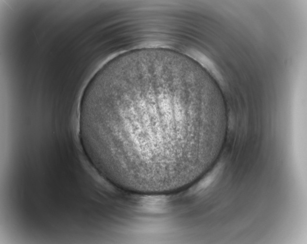 X0000088400844200706051134