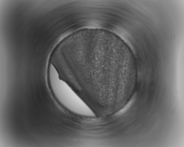 X0000088400845200706051134