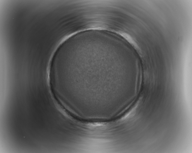 X0000088400846200706051134