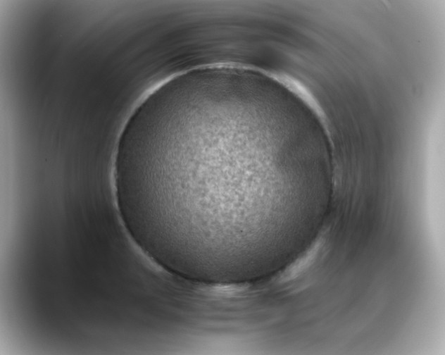 X0000088400847200706051134