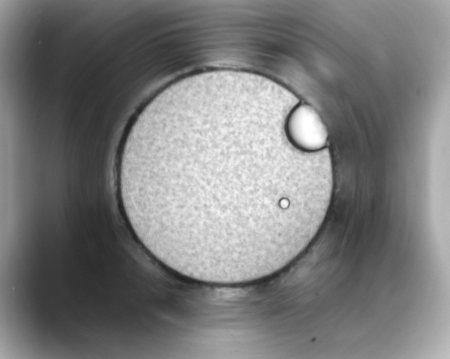 X0000088400848200706051134