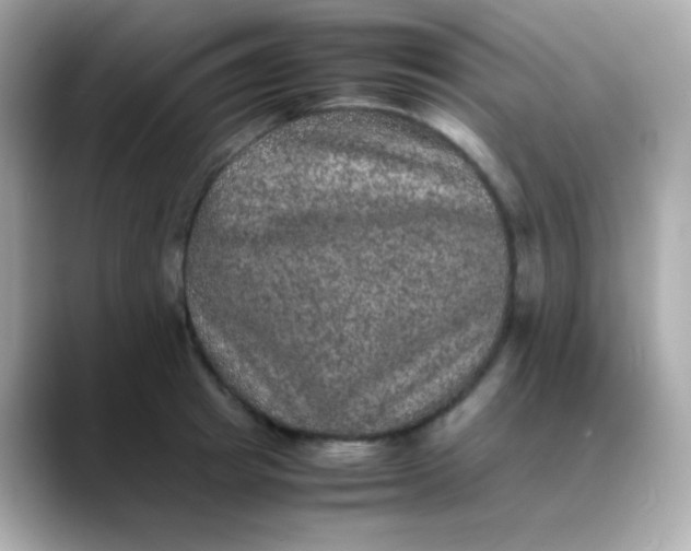 X0000088400849200706051134