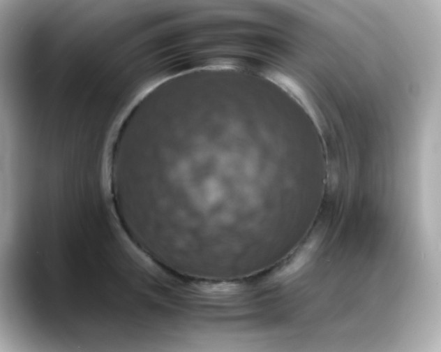 X0000088400851200706051134