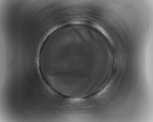 X0000088400853200706051134