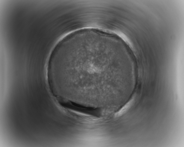 X0000088400854200706051134