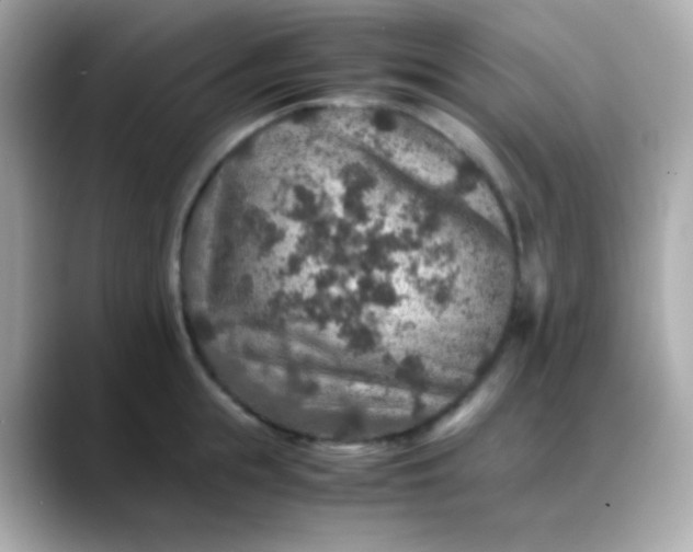 X0000088400855200706051134