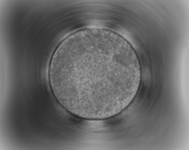 X0000088400856200706051134