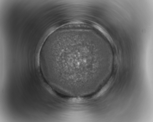 X0000088400858200706051134