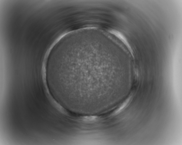 X0000088400859200706051134