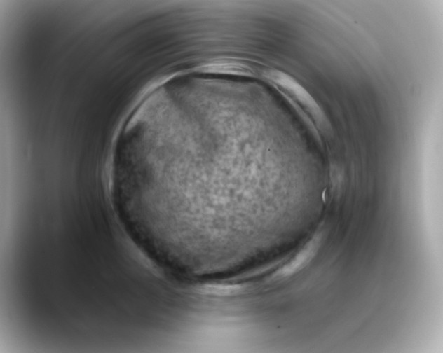 X0000088400860200706051134