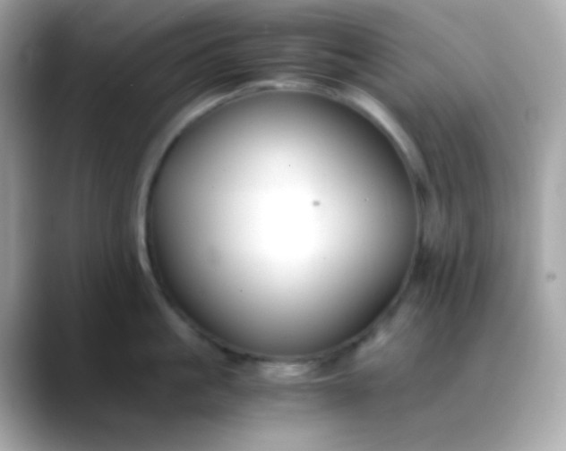 X0000088400861200706051134