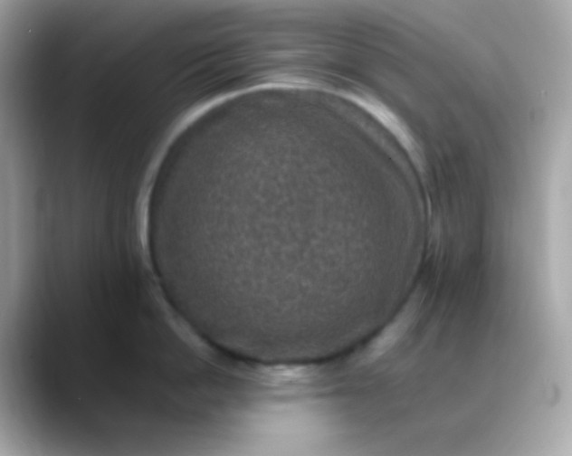 X0000088400862200706051134