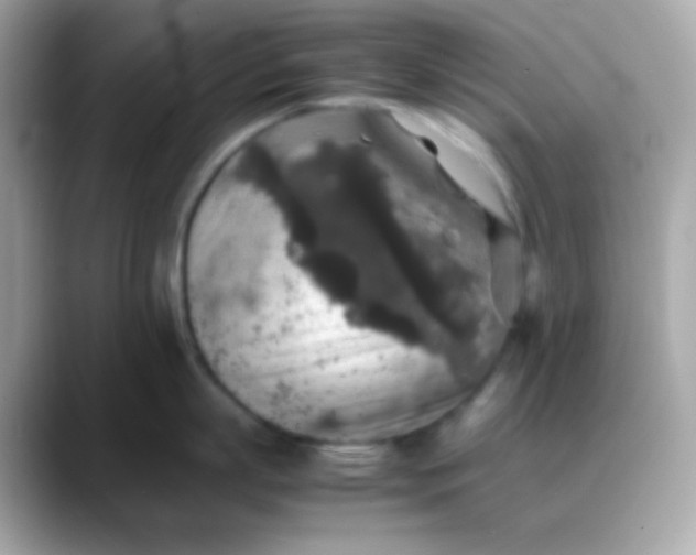 X0000088400863200706051134