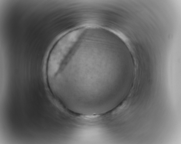 X0000088400864200706051134