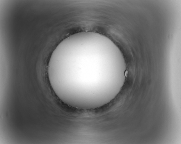 X0000088400865200706051134