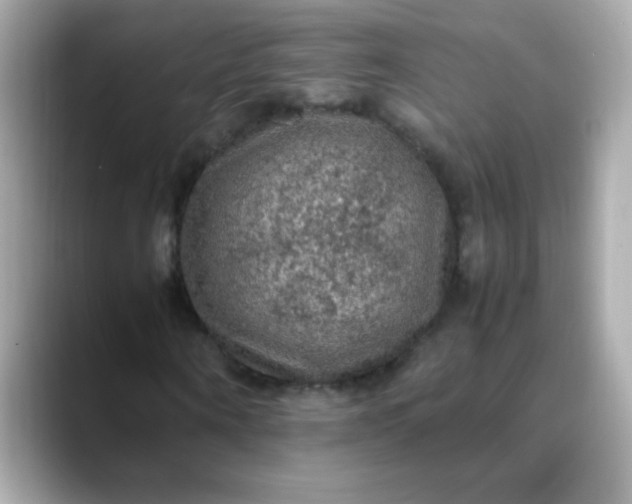 X0000088400866200706051134