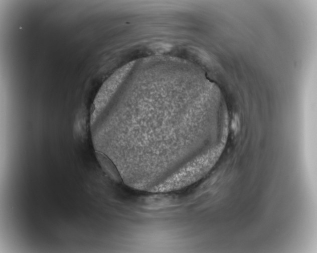 X0000088400867200706051134