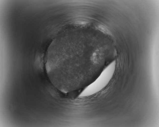 X0000088400868200706051134