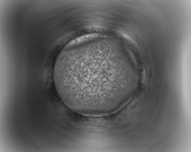 X0000088400870200706051134