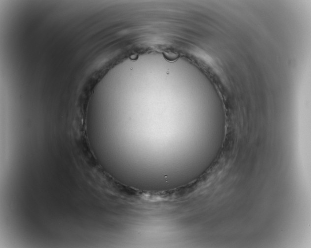 X0000088400871200706051134