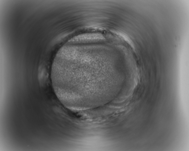 X0000088400872200706051134